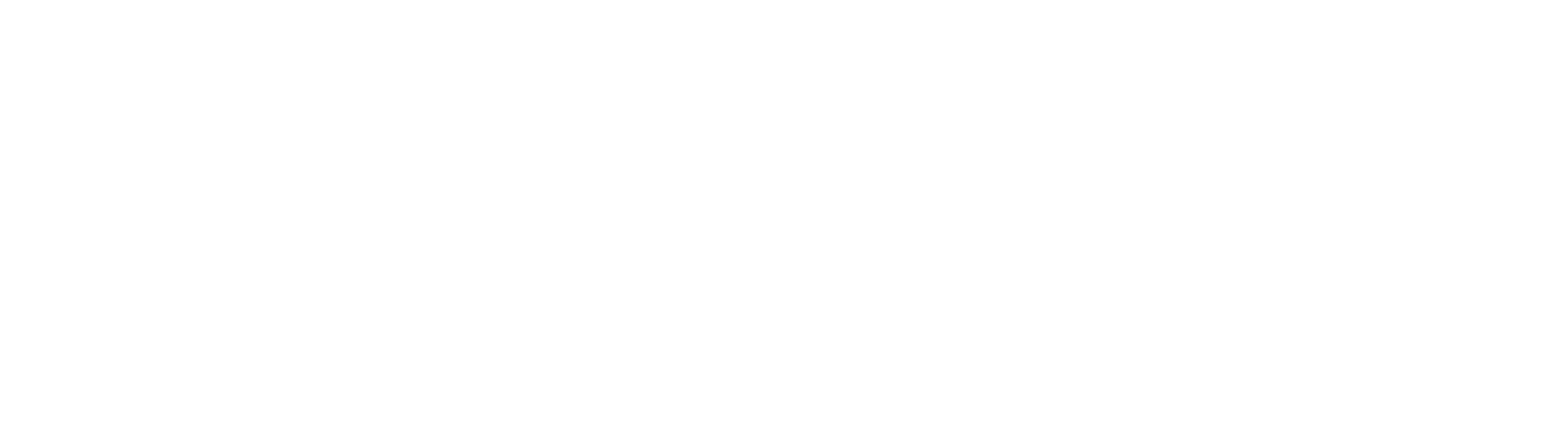 Hotel Conguillio